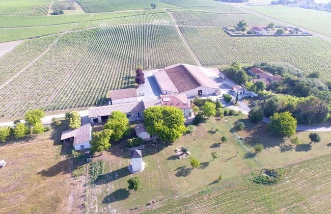 Château Pierre de Montignac - Foto 49