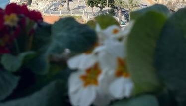 Sapore Di Sale Accommodation Tropea - Foto 2