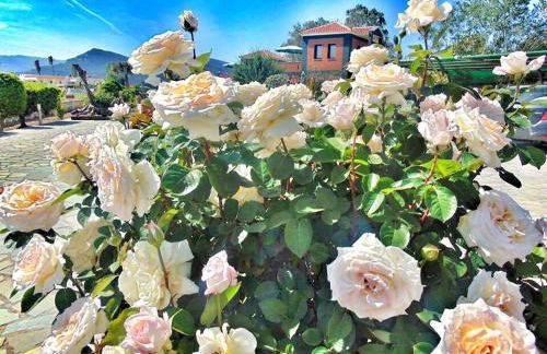 Kalloni Beach Villas - Foto 32