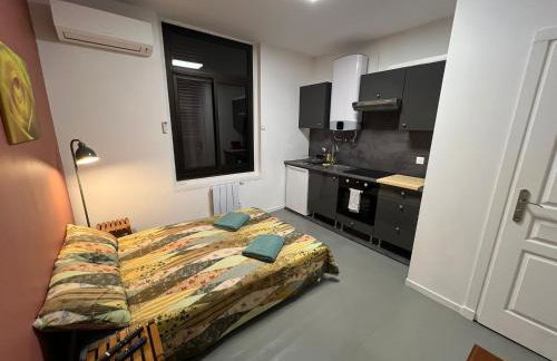 T2 cozy - clim et parking gratuit - Abbaye aux Dames - Foto 2