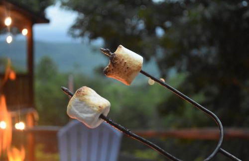 East Tennessee Family Mountain Retreat with Private Vineyard - Photo 19