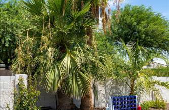 Sportscourt Pool Hot Tub Game Room Playground - Foto 54