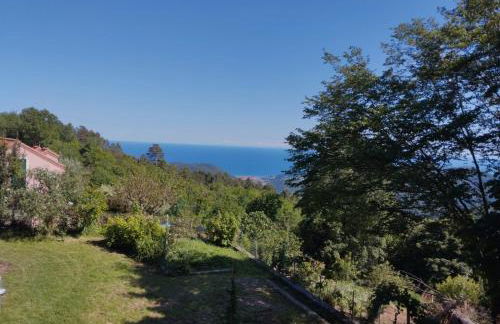 Elementi ARIA - Photo 18