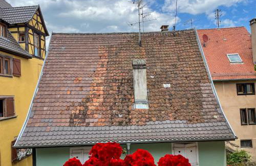 La Maison Bleue - Historic House in the Heart of Riquewihr - Foto 22