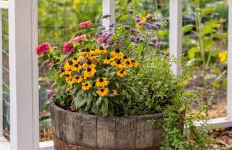 Berkshire Vacation Rentals: The Brookman: Renovated 6000 SF Estate On 40 Acres - Foto 42