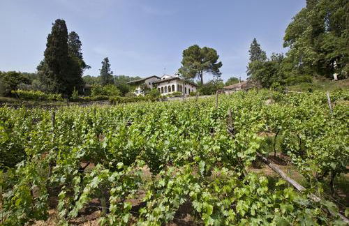 Fattoria Le Vegre - Foto 1