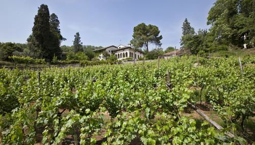 Fattoria Le Vegre - Foto 1, Garden view