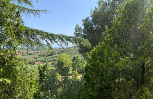 Villa Panorama - Foto 11