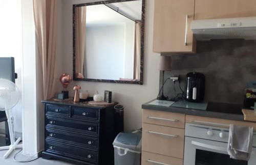 T2 Bord de mer avec jardin et piscine - Foto 22