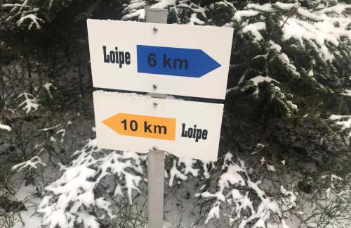 Frankenwald Ferienhaus FourStars am See in Lichtenberg, Bayern, Oberfranken, Bad Steben - Hof -Saale, Rennsteig - Foto 75