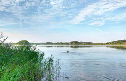 Ferienwohnung Uckermarkblick - Foto 15