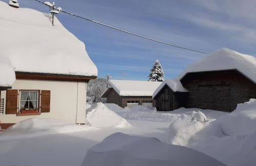 Ferienwohnung Boch Schluchsee - Foto 41