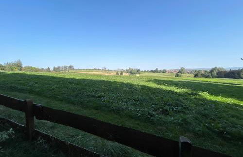 Bergwiesenblick38678 - Foto 13