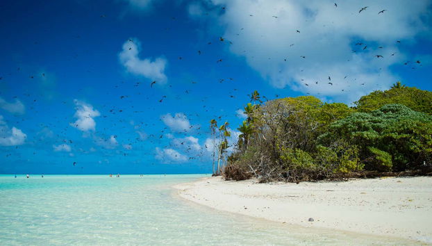 Tetiaroa Catamaran Day Trip - Foto 4