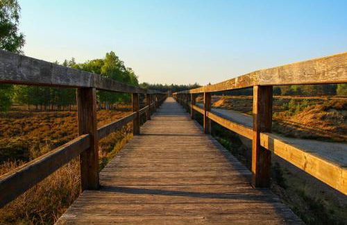 Ferienwohnung Auf der Blumenstrasse - Foto 35