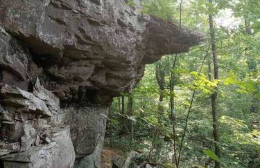 Baca Cabin Near Compton, Ponca, Buffalo River, Trails - Foto 16