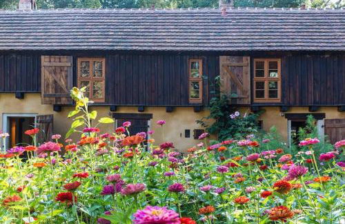 Schloss Stülpe - Foto 9