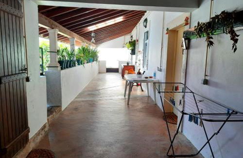 QM - Quinta da Morgadinha - Casa em Quinta Rural - Foto 24