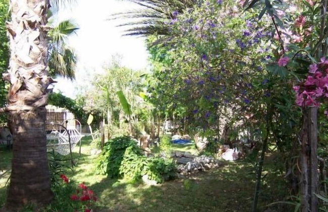 Villa Poseidon Apartments - Foto 29