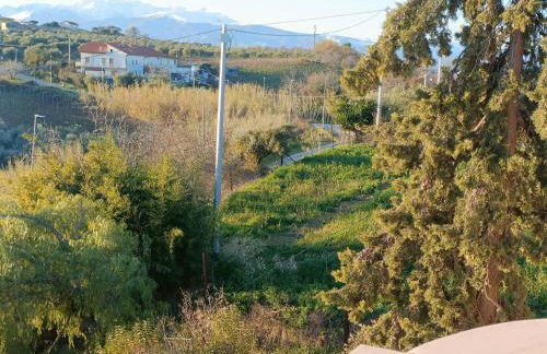 domus rosada - Foto 59