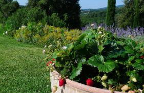 Tenuta di Seripa - Photo 28