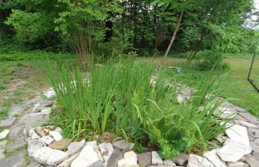 Traumhaus im Wald - Foto 12