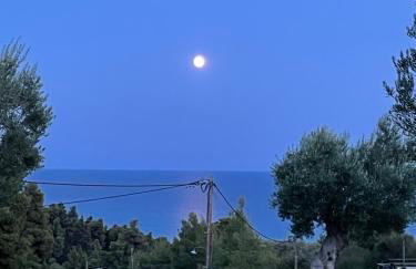 Chalkidiki Casa Elia - Foto 8