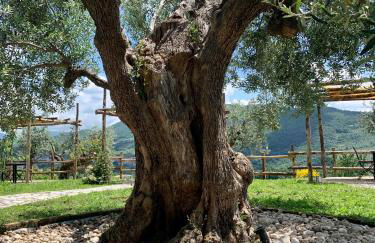 Agriturismo La Terrazza su Farfa - Foto 54