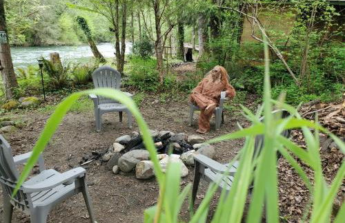 Tony's Riverside Oasis - Foto 28