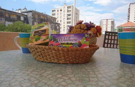 eco Apartment - Photo 24