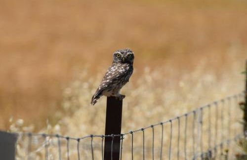 Hotel Casa Rural Don Álvaro de Luna - Foto 51