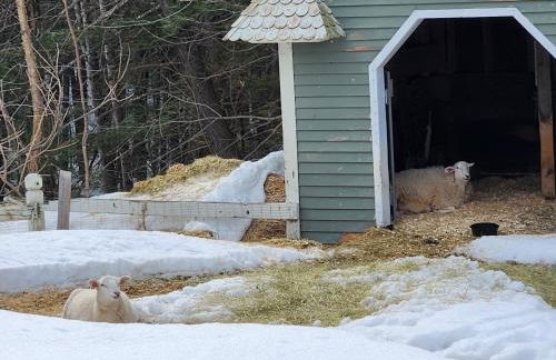 White Mountains Getaway with amazing views! - Foto 26