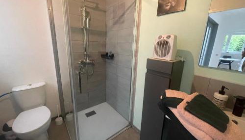 Magnifique Logement f2 Vosges La vôge-les-bains - Foto 3