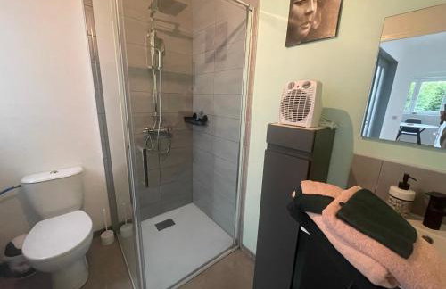 Magnifique Logement f2 Vosges La vôge-les-bains - Foto 3
