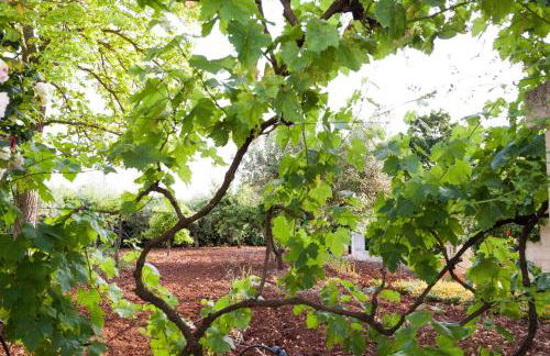 Masseria Lacatena - Foto 50