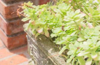 Casa Antica Pietra Spilimbergo - Foto 3