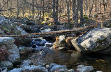 Guadarrama - Photo 21