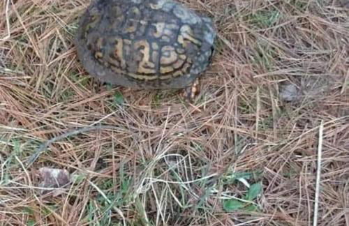 Newly Built Waterfront home w/Amazing Views - Foto 59