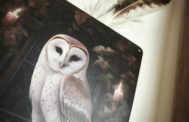 Chez Renée - Ferme berrichonne en Brenne - Foto 31