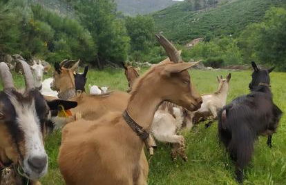 ABRIGO DO CABECINHO - SERRA DA ESTRELA - Foto 67