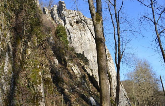 Luxury Home in Durbuy With Valley View & Pool - Foto 29