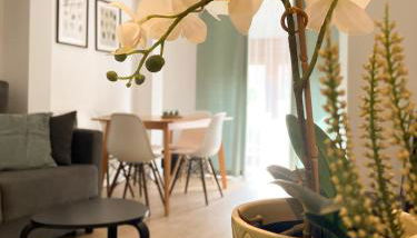 La Albardería Suite VUT 2 habitaciones a los pies de la Muralla - Foto 5