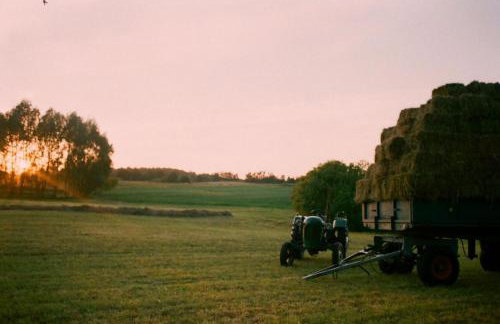 Poganty - Jałownik - Foto 8