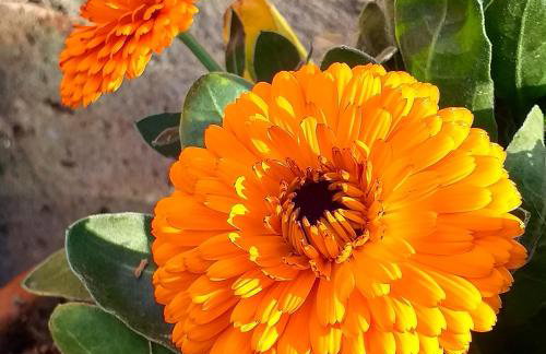 Podere La Vigna Locazione Turistica - Photo 30