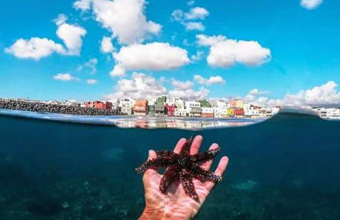 Seaview Faro Arinaga - Photo 8