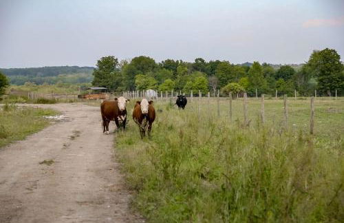 Group Getaway on Working Farm! Near Saratoga - Foto 25