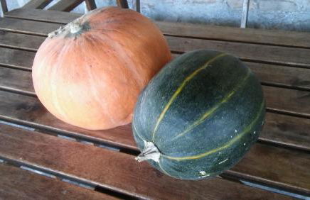 Agriturismo il Bacucco - Foto 41