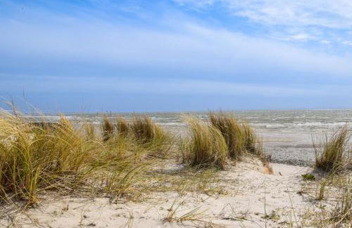 Meeresblick-List - Foto 44