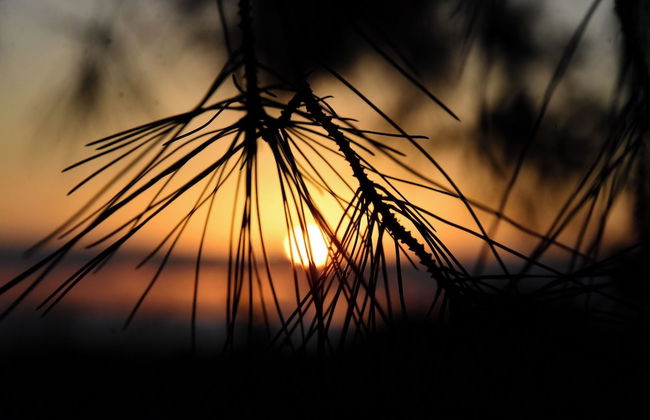 Beautiful Cottage sea View, Near the Beach, Greece - Foto 24