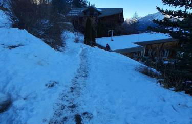 Bel Appartement Duplex - SAUZE 1700 - Foto 22